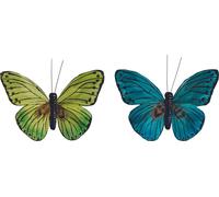 6XKNORR prandell 218030909 Papillon vert 9