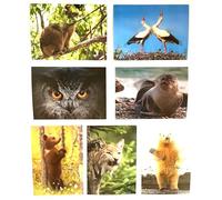 7 cartes postales lenticulaires "ANIMAUX D'EUROPE" à effet oscillant