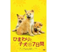 Himawari to Koinu No Nanokakan – DVD – Import allemand