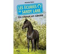 7. Les écuries de Sandy Lane : Un cheval en cavale