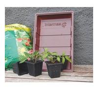 7 pots pour semis NORTENE G