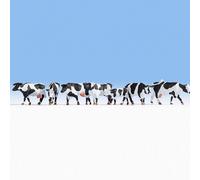 7 vaches noires et blanches-HO-1/87-NOCH 15725