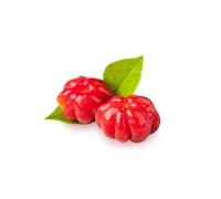 70 graines de fruits de pitanga rouge