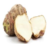 70 graines de légumes Topinambur