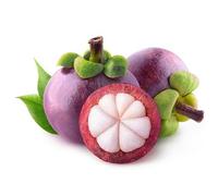 70 graines de mangoustan fraîches