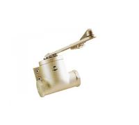 705112 Ferme-porte Classique 5, bras compas - Coloris:champagne