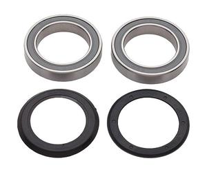 70575 - Set de billes de roulement Power Torque veloce