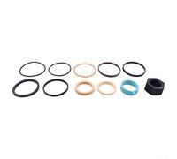 7197632 Kit de joint de cylindre de flèche pour Bobcat 331 334 430 E27 E32 E32i E34 E35 E35i Construction PTFE à quatre couches Résistance à l'usure Pression jusqu'à 35 MPa Ensemble complet de joints