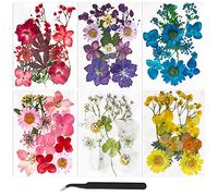 74Pcs Fleurs Sechees Naturelles Vraies Fleurs Pressées Séchées Ensemble de Fleurs Séchées Pressées Naturelles Bricolage Mélange Fleurs Séchées Resine Epoxy Fleur Sechees Naturel pour Résine
