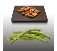 75 grammes à semer - Le Grenier d'Abondance - HARICOT Contender Nain mangetout - Phaseolus vulgaris