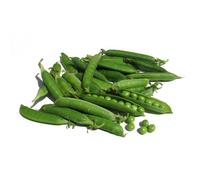 75 Grammes À Semer - Le Grenier D'abondance - Pois Nain Douce Provence - Pisum Sativum