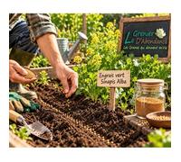 75 grammes de graines à semer - Le Grenier d'Abondance - ENGRAIS Vert - Sinapis Alba