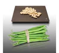 75 grammes de graines à semer - Le Grenier d'Abondance - HARICOT Nain Ferrari - Phaseolus vulgaris