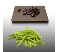 75 grammes de graines à semer - Le Grenier d'Abondance - HARICOT Nain La Victoire - Phaseolus vulgaris