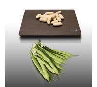 75 grammes de graines à semer - Le Grenier d'Abondance - HARICOT Nain Lingot - Phaseolus vulgaris