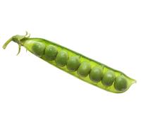 75 Grammes De Graines À Semer - Le Grenier D'abondance - Pois Annonay Nain - Pisum Sativum
