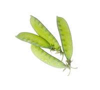 75 grammes de graines à semer - Le Grenier d'Abondance - POIS Gourmands Carouby de Maussane - Pisum sativum