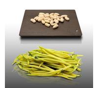 75 grammes - HARICOT Nain Berggold - Phaseolus vulgaris