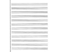 75. Spiral Book:12-stave Hal Leonard Corp (Auteur)