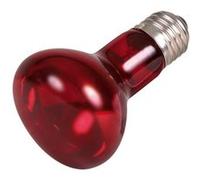 75 W Lampe infrarouge à chaleur R63 - Trixie - TR-76096 G