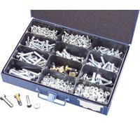 750 pièces Assortiment de 750 vis et écrous six pans en acier DIN 933