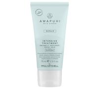 Paul Mitchell Awapuhi Wild Ginger Repair Intevsive Treatment cure capillaire intense pour cheveux abîmés 75 ml
