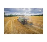 75x50cm/1000pcs Puzzle pour Adolescents Farming Cubes Puzzle pour Adultes Jeux Relaxants Cadeaux pour Femmes Cadeaux Uniques pour Anniversaire Et Noël 75x50cm/1000pcs