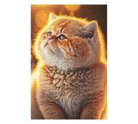 75x50cm/1000pcs Puzzles pour Adolescents Orange Cute Cat Puzzle pour Adultes - Jeu Manuel - Décoration Parfaite - Difficile Et Stimulant 75x50cm/1000pcs