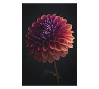 75x50cm/1000pcs Puzzles pour Adultes Blooming Dahlia Flower Puzzles pour Adultes À Monter Soi-même - Jouets De Précision - Cadeaux Uniques pour Un Anniversaire Ou Noël 75x50cm/1000pcs