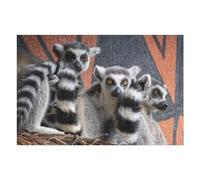 75x50cm/1000pcs Puzzles pour Adultes Lemurs Animals Wild Zoo Jeu De Réflexion Puzzle, Passe-Temps Idéal pour Les Vacances À La Maison, Cadeaux d'anniversaire Et De Noël Uniques 75x50cm/1000pcs