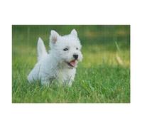 75x50cm/1000pcs Puzzles pour Adultes Westie Puppy Puzzles pour Adultes Jeu De Réflexion Course De Vitesse Manuelle Défi Éducatif 75x50cm/1000pcs