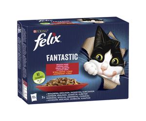 7613039758021 FELIX Fantastic Mięso 12x85g = 1,02 kg Nestlé Polska S.A.