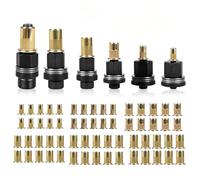 77PCS Carbon Steel Rivet Nut Tool Set with M3 M4 M5 M6 M8 M10 M12 Mandrels & Flat Head Rivnuts, Heavy Duty Manual Rivnut Tool Kit & Electric Drill Adapter for Metal Pipes, Automotive (M3-M10)