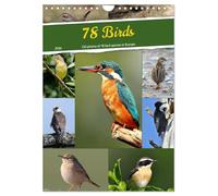 78 Birds (Wall Calendar 2026 DIN A4 portrait), CALVENDO 12 Month Wall Calendar: 132 photos of 78 bird species in Central Europe