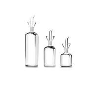 IBILI Huilier en verre 795650 – 500 ml – Transparent (G)