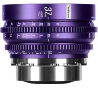7ARTISANS 37mm T2.9 Flora Bloom Monture PL Violet