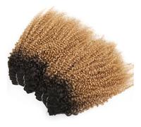 8-12inch Human Hair Bundles, Jerry Curly 6 Bundles Human Hair Unprocessed Brazilian Virgin Quick Weave Hair for Black Women Installation et enlèvement faciles(Ombre dark blonde,10 inch)