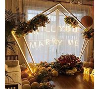 8.2 Feet Garden Arch Pergola, Metal Wedding Backdrop Frame, Climbing Plant Trellis, Outdoor Decorative Arbor with Bases for Events and Parties