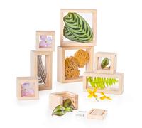 Blocs à trésors - Guidecraft - 8 Blocs en bois - 3 ans et plus - Intérieur - Mixte