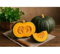 8 graines à semer bio - Le Grenier d'Abondance - Courge Potiron Vert Kabocha - cucurbita Maxima