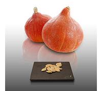 8 Graines À Semer - Le Grenier D'abondance - Courge Potimarron - Ou Courge Chataigne - Curcurbita Maxima