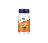 Now Foods Acidophilus & Bifidus 8 milliards – 60 gélules