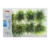 Zolux Planant Kit Hydro Small x 8 pces artificielles pour Aquarium
