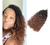 8 Pouces Yanky Twist Crochet Hair Cheveux de Tresse Pré-Torsadée 5 Paquets de Mini Tresses Torsadées au Crochet Rebondissant Courtes Passion Twist Braiding Hair Extensions pour Femmes