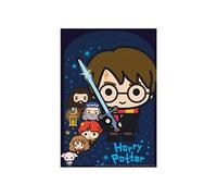 8 sacs cadeaux plastique harry potter 16.5x23cm - 9905194