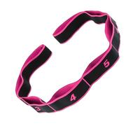 8 Section Numbered Workout Bands - Elastic Stretching Resistance Strap | Muscle Strength Training for Women Men Home Gym Yoga Pilates Arms Back Legs Full Body Exercise Fitness Routine