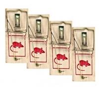 8 TAPETTES A SOURIS MULOTS EN BOIS ET FER PIEGE SOURIS RAS RONGEUR