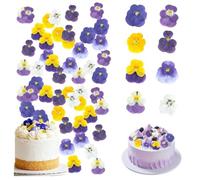 8 Types de Fleurs Séchées Naturellement pressées,40PCS Fleurs sechees Naturelles Fleur Sechee Mélange de Violettes Tricolores pour Décorer Les Dessus de Gâteaux Cocktails Artisanat DIY