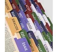 80 onglets bibliques en français en version catholique, protestant et témoin de Jéhovah - séparateur pour Bible aux couleurs liturgiques, marque-page, étiquette chrétien (Bible catholique)