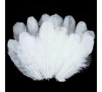 800/100 pièces Plumes 3-5 pouces Plumes artisanales Décorations de fête de famille, Fournitures d'attrape-rêves, Plumes-800 pièces blanches